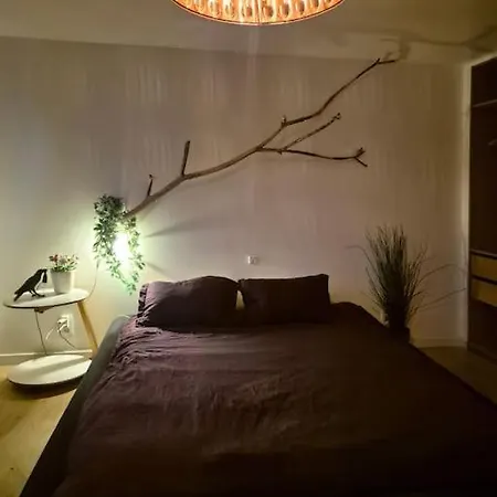Apartment Met Groot Terras Ghent